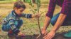 blog-planting-a-tree-07052168