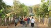 images3053679_1