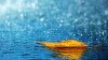 images3056958_T7