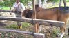 images3059524_1