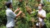 images3059529_1