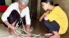 images3060891_1