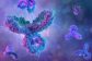 antibody-07074632