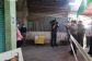img7265-19333608