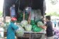 img8055-15545142
