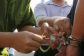 bat-can-bo-cong-an-hai-phong-mua-ban-ma-tuy-11404324