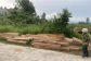 golau0-17575720