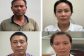 nang-khong-gia-cay-xanh-20283899