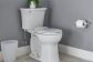 toilet-06351363