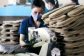 cuu-dn-can-bom-von-nhanh-1-07194314