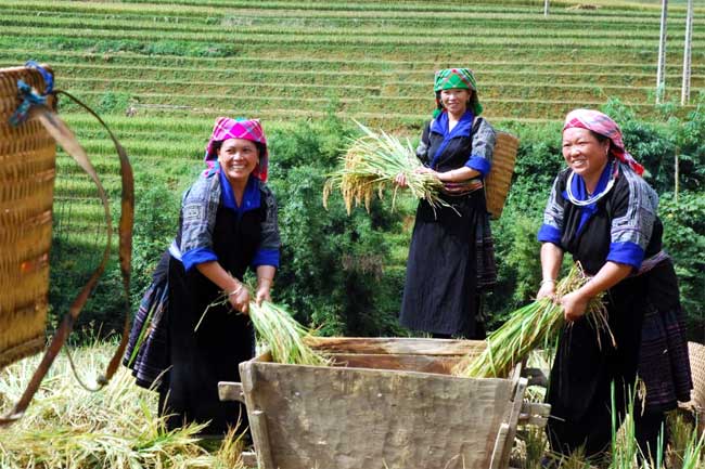 Đẩy mạnh thực hiện các chính sách giảm nghèo bền vững