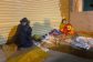 thai-phu-23303497