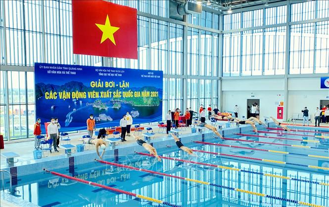 Gần 200 vận động viên tham dự giải Bơi, Lặn các vận động viên xuất sắc quốc gia năm 2021