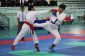 1_karatedo201