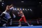3_boxing203