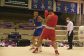 3_boxing203