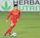 dinh-trong1
