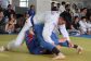 ju-jitsu201