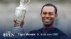 woods