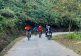 1_dua20lao20cai-3
