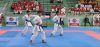 2_karate-1