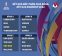 u23-asia-cup