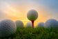 2_golf-2