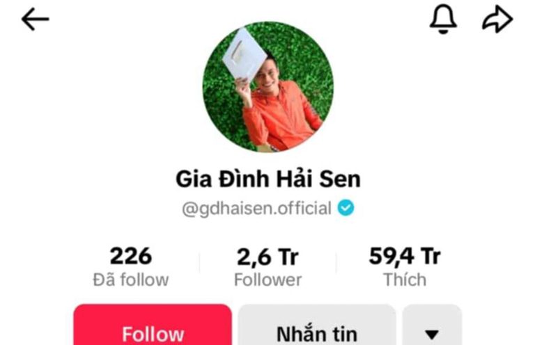 Vì sao chủ kênh TikTok ‘Gia đình Hải Sen’ bị bắt?