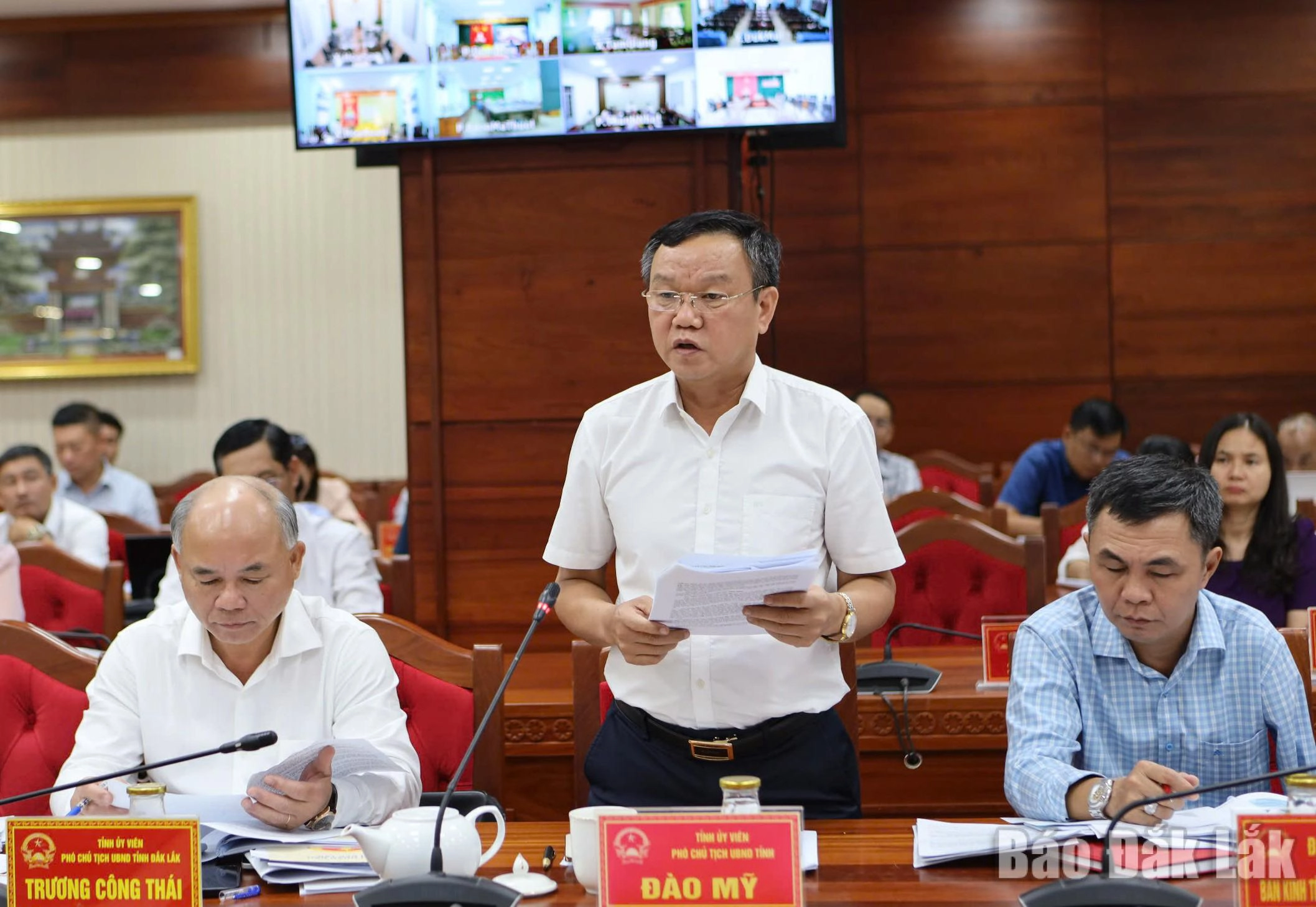 Phó Chủ tịch UBND tỉnh Đào Mỹ đóng góp ý kiến tại cuộc họp.