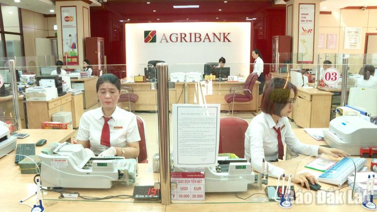 Agribank Chi nhánh Đắk Lắk đang cơ cấu lại các danh mục tín dụng, ưu tiên vốn cho các lĩnh vực sản xuất kinh doanh, nông nghiệp nông thôn. (Ảnh minh họa)