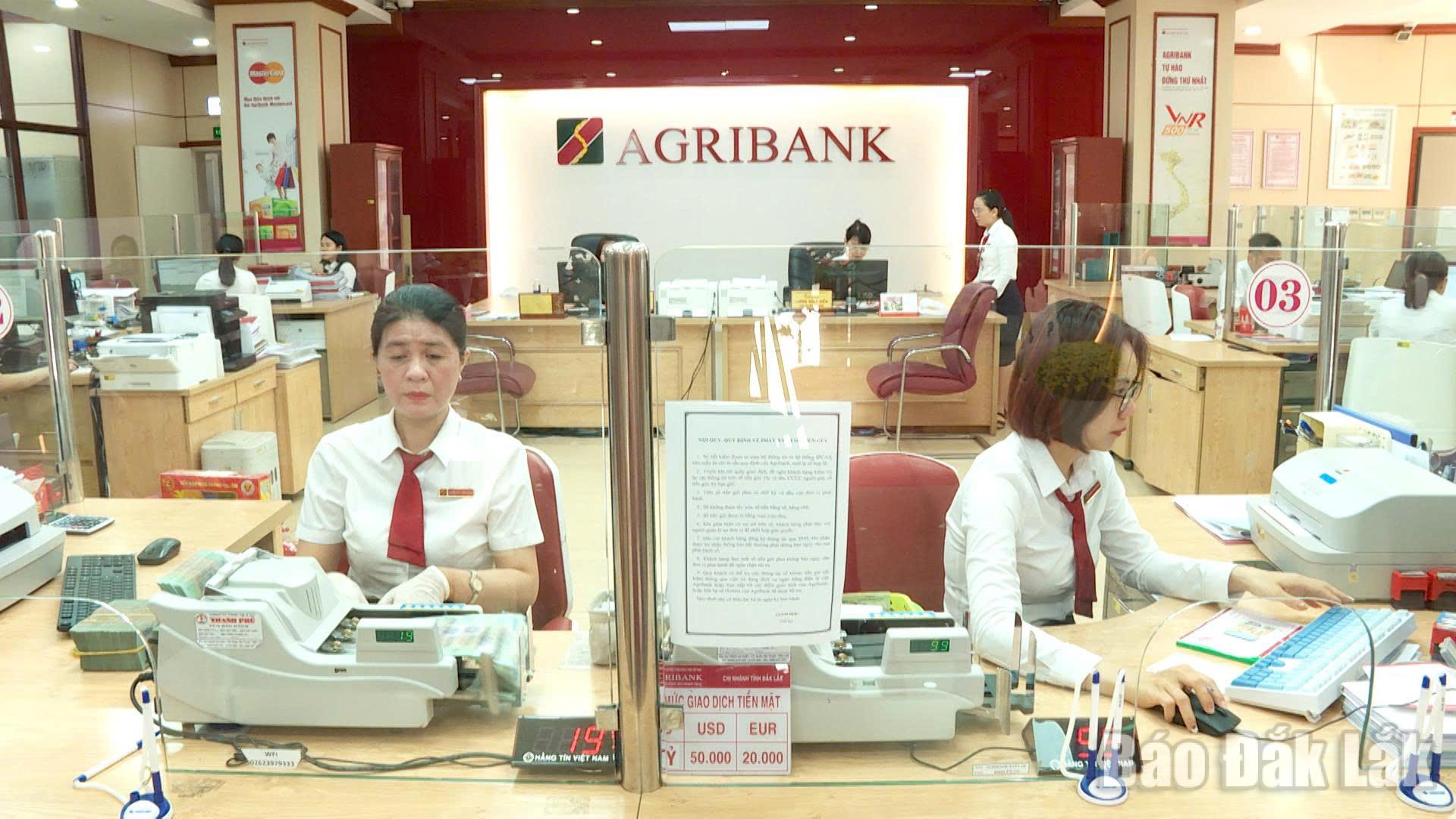 Agribank Chi nhánh Đắk Lắk đang cơ cấu lại các danh mục tín dụng, ưu tiên vốn cho các lĩnh vực sản xuất kinh doanh, nông nghiệp nông thôn. (Ảnh minh họa)