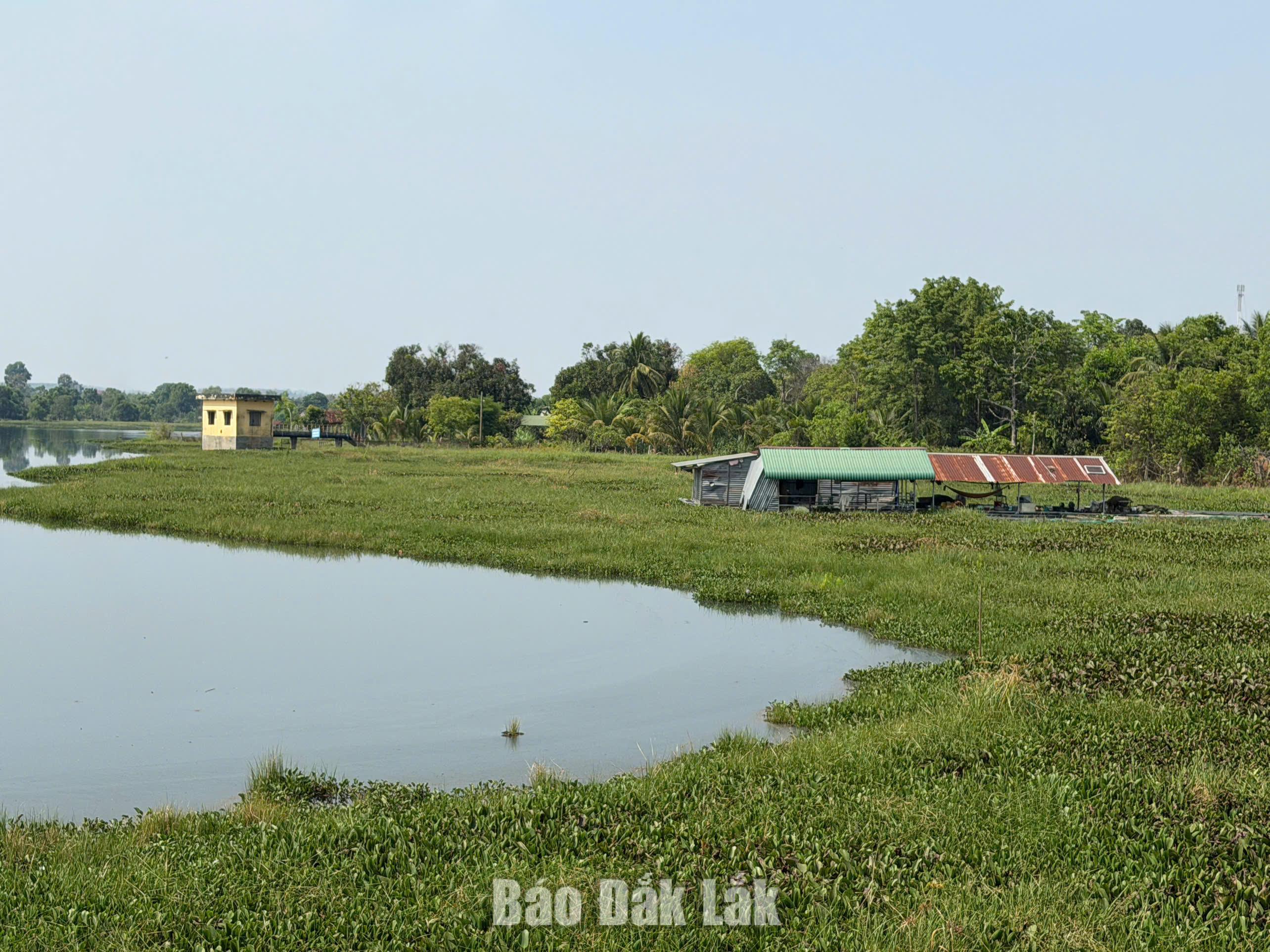 Hành vi xâm phạm Hồ Ea Súp Hạ.