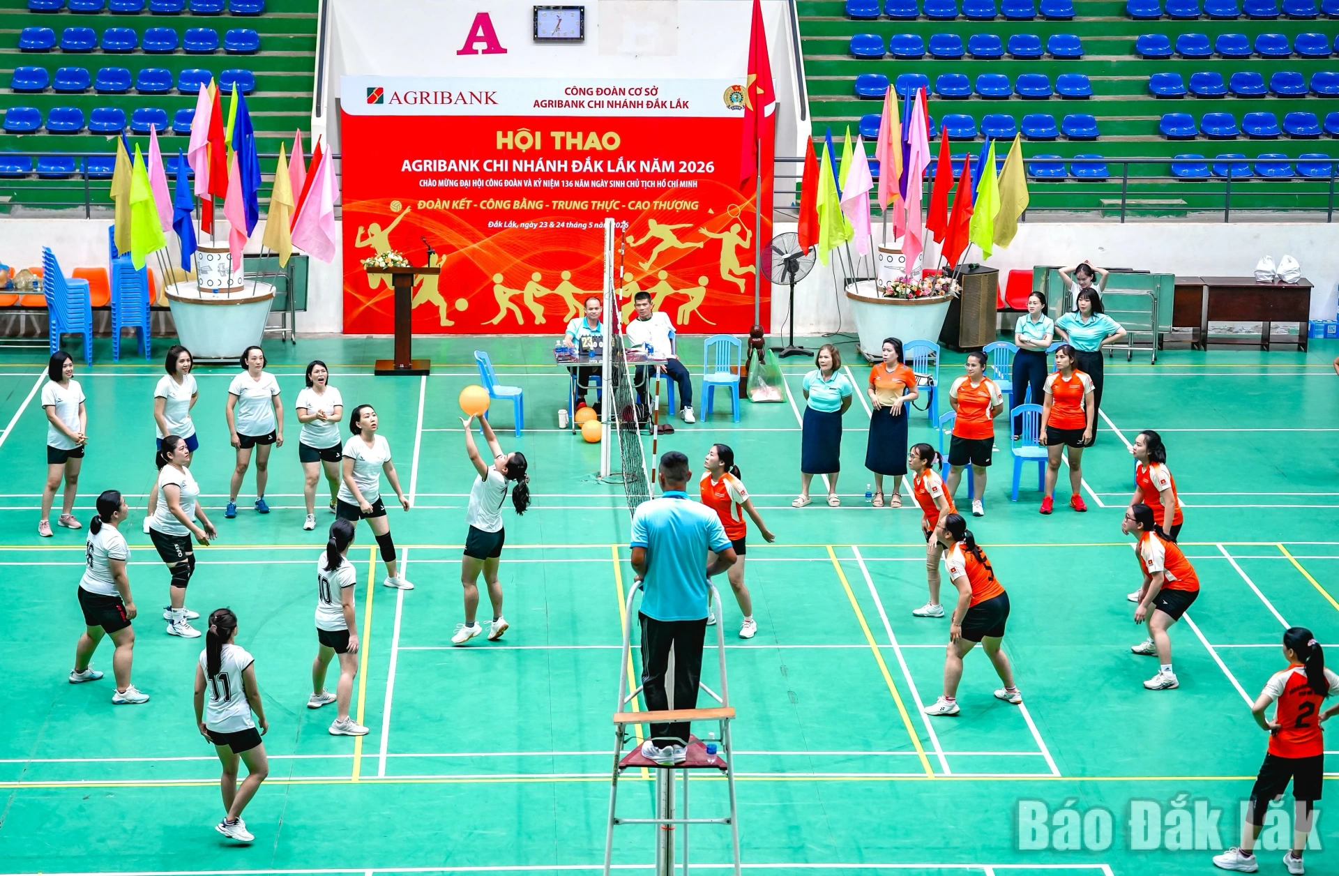 Các vận động viên tranh tài