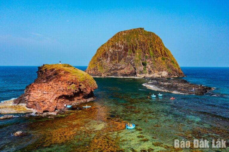Cánh đồng rong mơ nhuộm vàng biển Hòn Yến