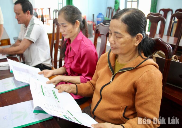 Hơn 1,8 tỷ đồng thực hiện dự án thí điểm chuyển đổi số trong sản xuất sầu riêng ở Krông Nô
