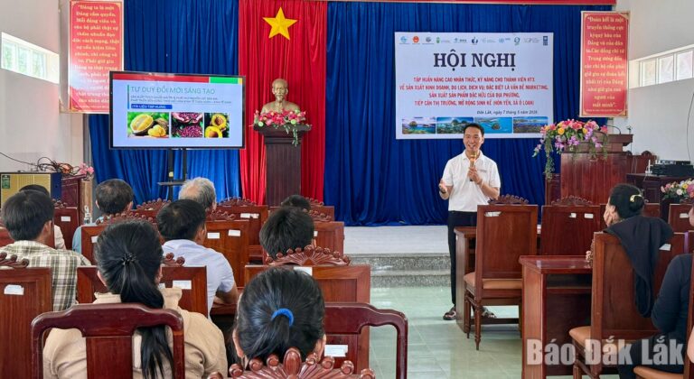 Nâng cao kỹ năng marketing, mở rộng sinh kế cho thành viên hợp tác xã tại xã Ô Loan