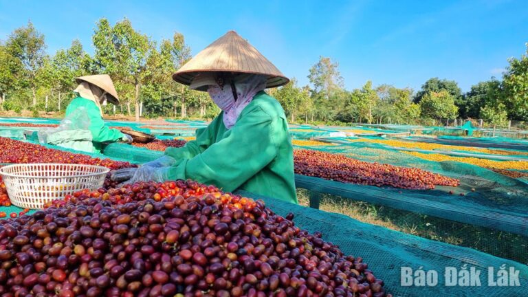 Ngành Nông nghiệp và Môi trường đặt mục tiêu tăng trưởng 5,86% trong năm 2026