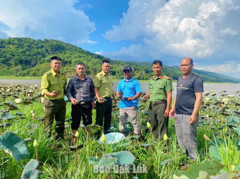 Thả 5 cá thể rùa quý hiếm về môi trường tự nhiên