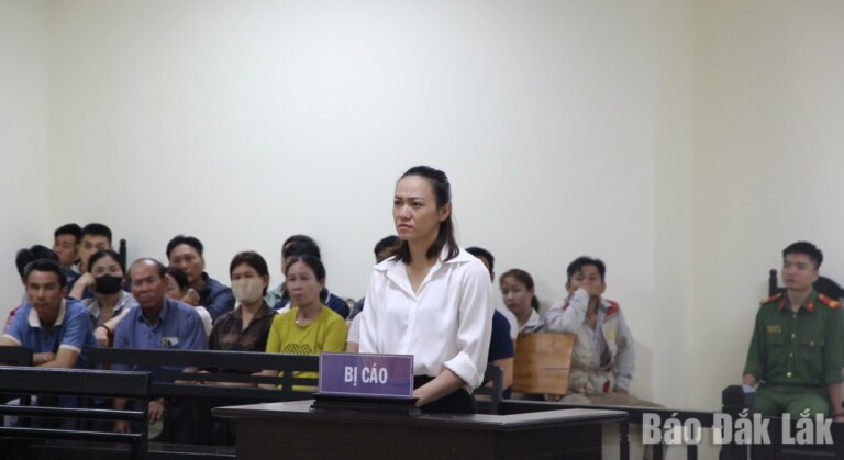 Y án sơ thẩm đối với nữ tài xế gây tai nạn khiến chủ tịch xã tử vong