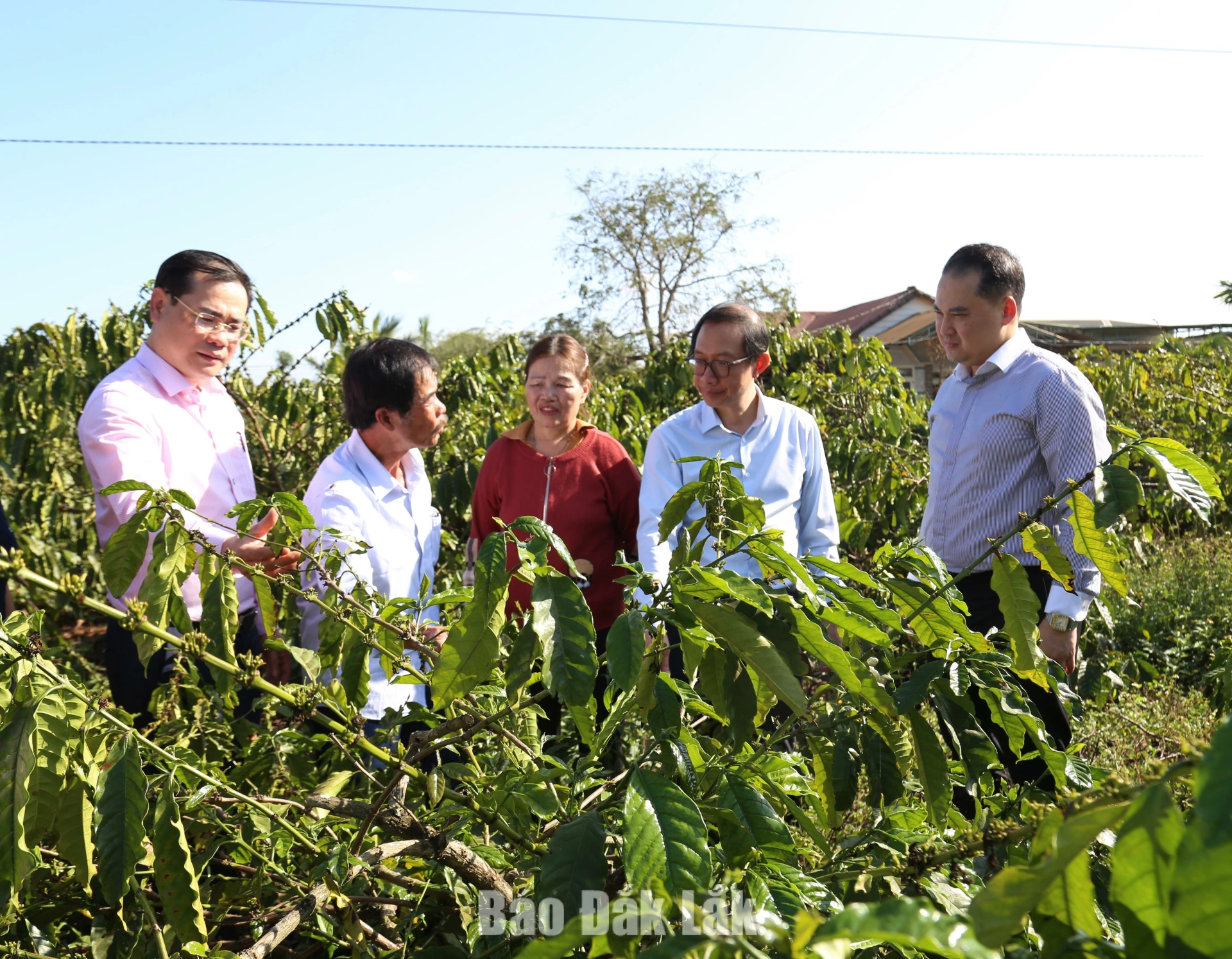 Tập trung nguồn lực thực hiện hiệu quả các chương trình tín dụng chính sách 1 Đoàn công tác Trung ương kiểm tra mô hình sử dụng vốn tín dụng chính sách tại xã Ea Phê.