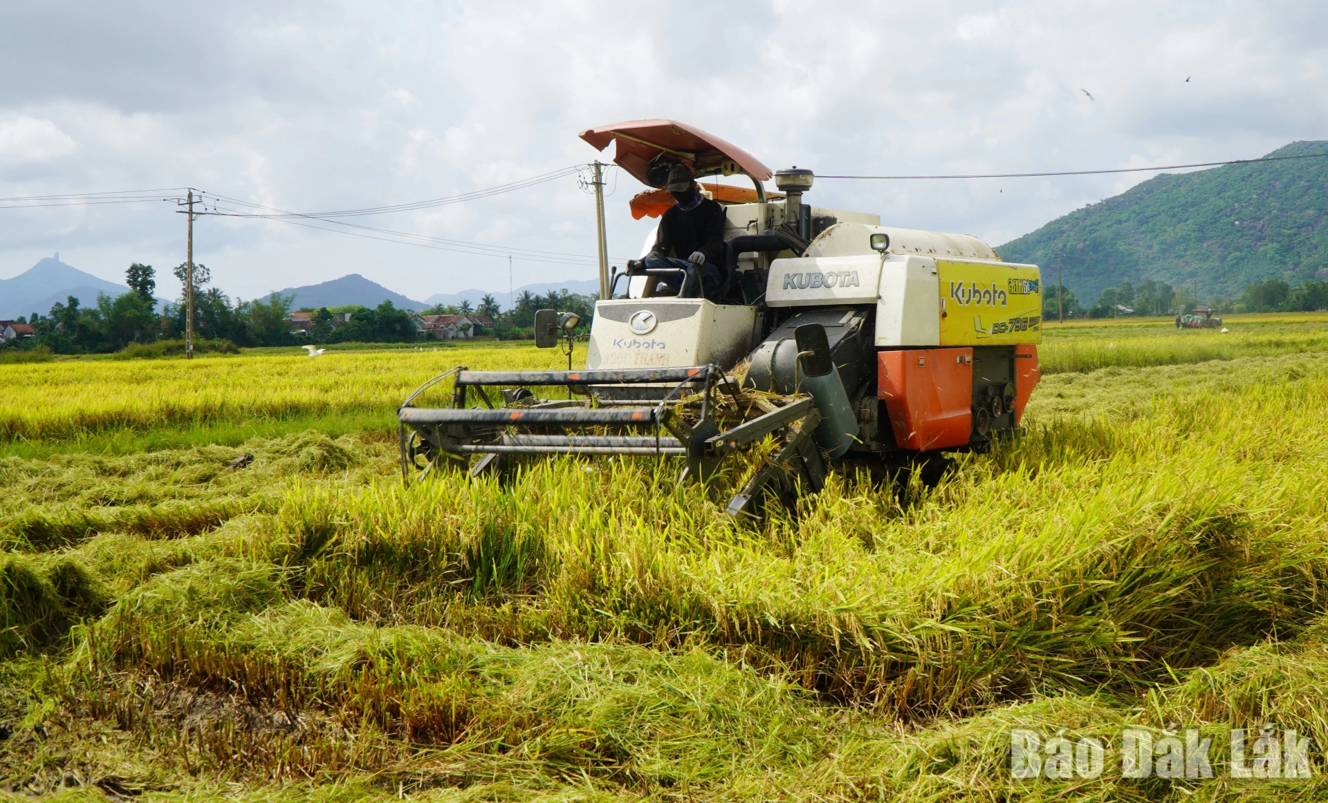 Các HTX nông nghiệp có cơ hội vay vốn 1 tỷ đồng trong 10 năm để đầu tư máy móc phục vụ sản xuất.
