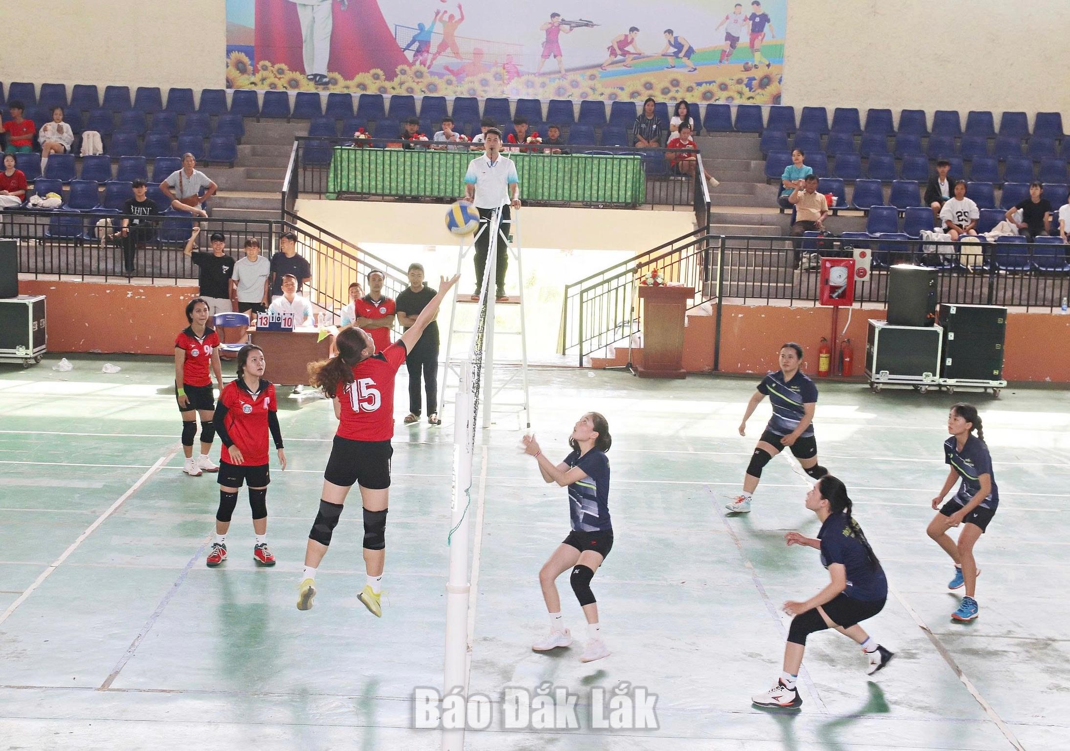 các vận động viên tranh tài