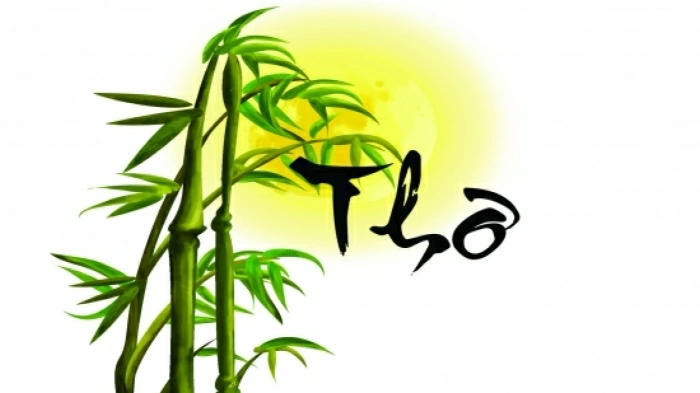 Tự tình với lá - Báo Đắk Lắk điện tử
