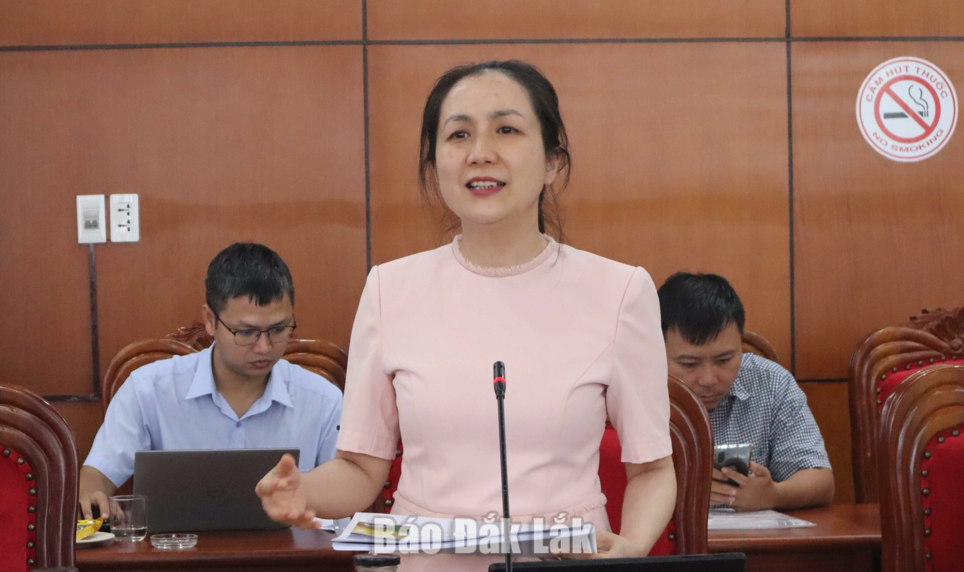 Bà Nguyễn Thị Thu An, Giám đốc Sở Công thương tỉnh thông tin về một số dự án năng lượng trên địa bàn tỉnh.