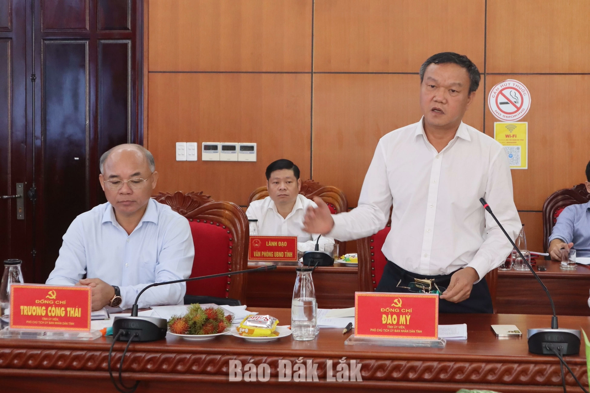 Phó Chủ tịch UBND tỉnh Đào Mỹ nêu ý kiến tại buổi làm việc.