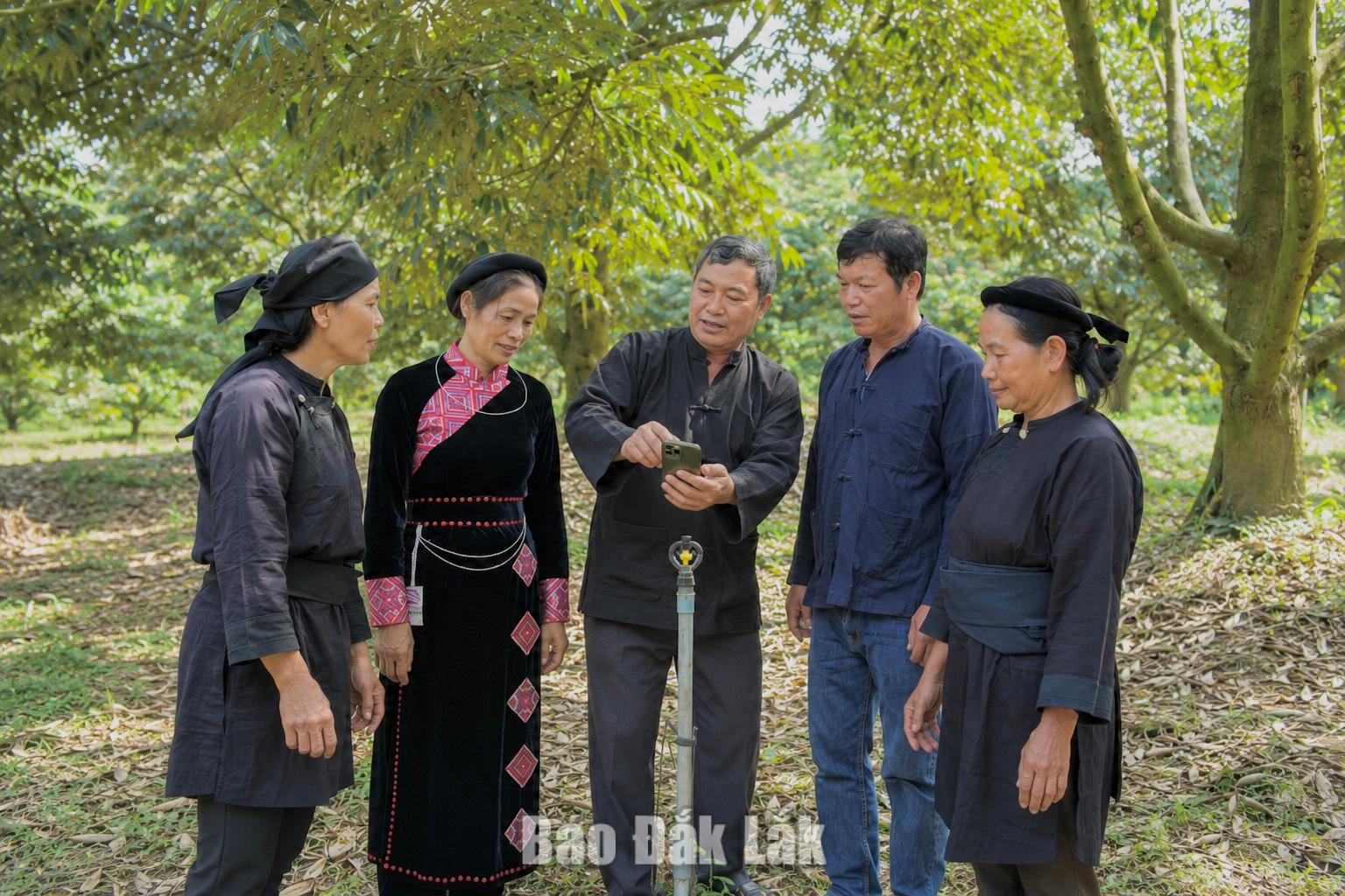 Nông hộ chia sẻ cách sử dụng điện thoại thông minh để cập nhật nhật ký điện tử trong quản lý vườn sầu riêng.