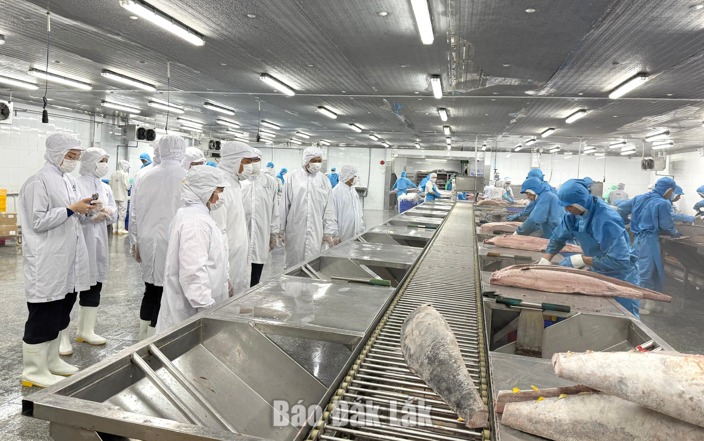 Hạ tầng đồng bộ, tạo nền tảng thu hút đầu tư vào Đắk Lắk 2 ca ngu 20260609095923 20260609201434