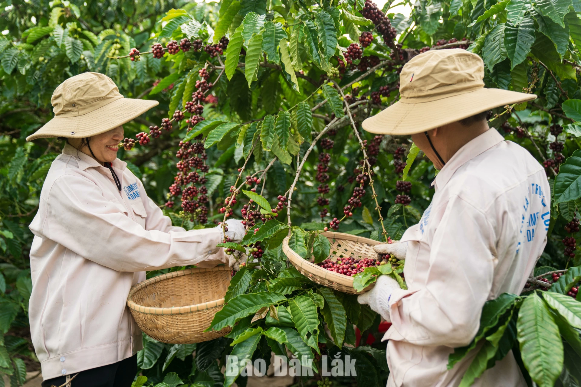 Lan tỏa lối sống thân thiện 2 dct202 20260615172947 20260616231947