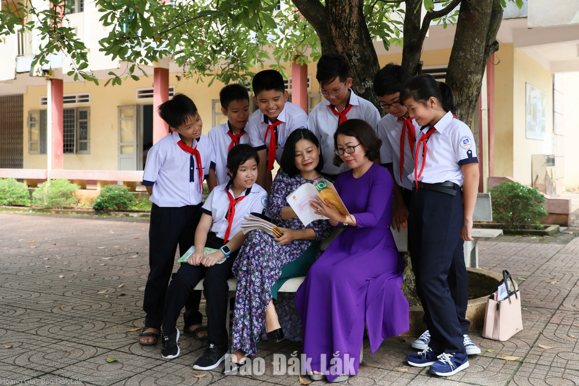 Ảnh minh họa: Hoàng Gia 