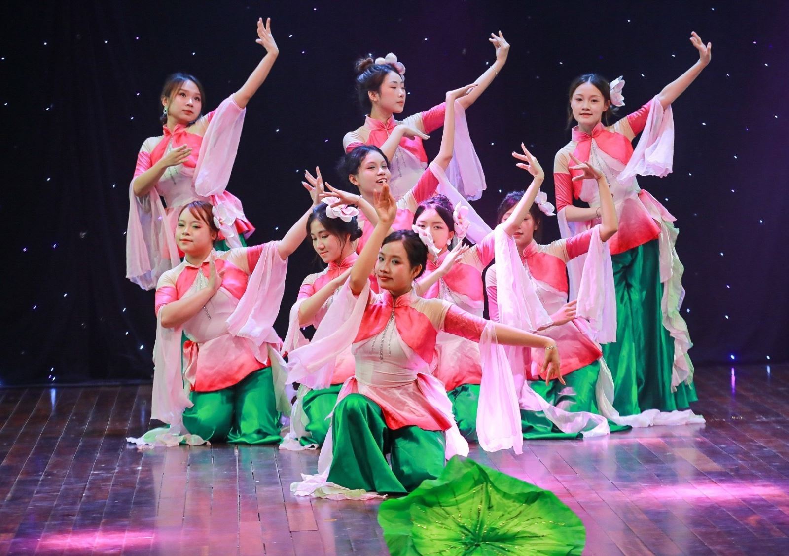 Phát triển kinh tế đi đôi với phát triển văn hóa, con người 3 Tiết mục múa Vũ khúc hương sen của nhóm sinh viên Trường Đại học Sân khấu - Điện ảnh Hà Nội thể hiện. Ảnh: Khánh Hoà/TTXVN